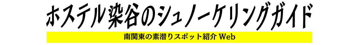 ホステル染谷のシュノーケリングガイド